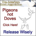 dove association